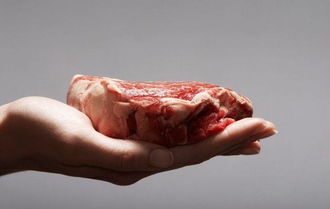 Признаки испорченного мяса